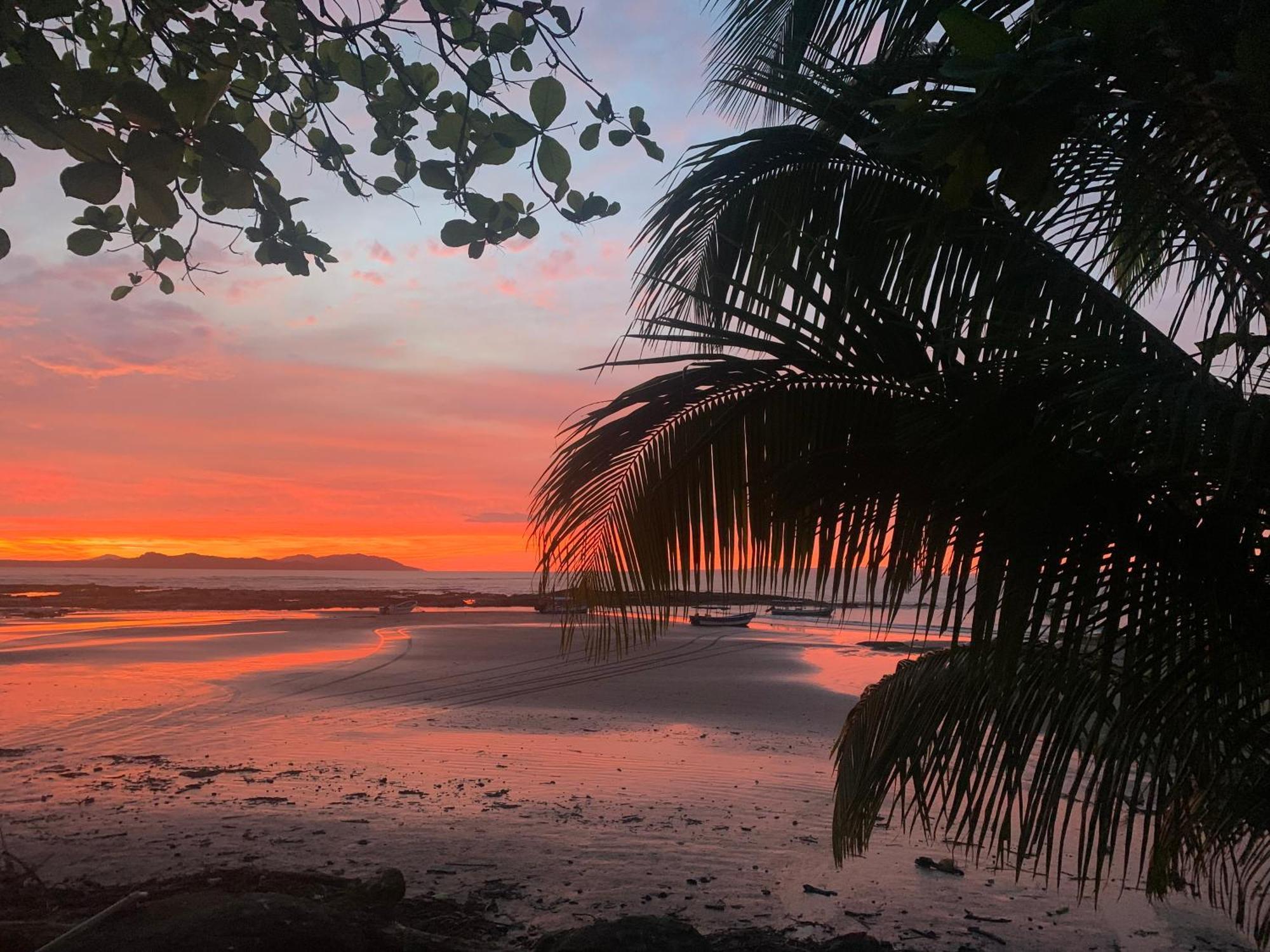 Ocekepala Hotel Palmilla Kültér fotó